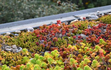 the cost of Middle Taphouse green roof installation