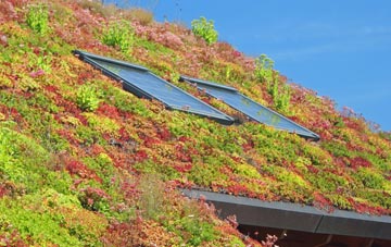 Middle Taphouse living roof systems